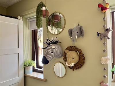 Picture 21